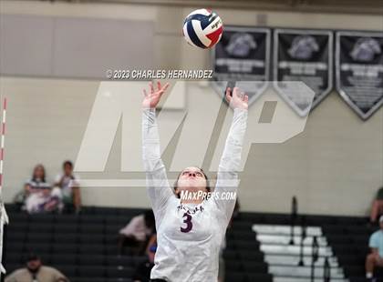Thumbnail 3 in Magnolia @ College Station photogallery.