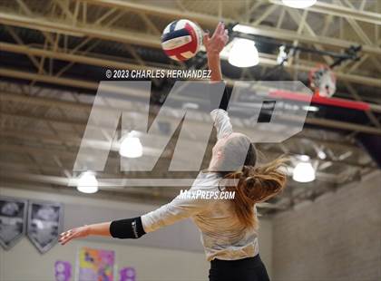 Thumbnail 1 in Magnolia @ College Station photogallery.