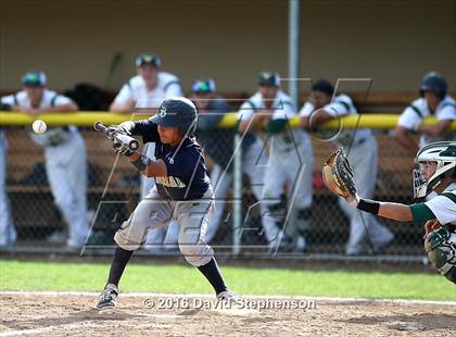Thumbnail 3 in Leigh @ Branham photogallery.