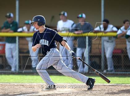 Thumbnail 3 in Leigh @ Branham photogallery.