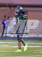 Photo from the gallery "Horn Lake @ Lake Cormorant"