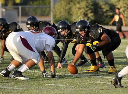 Thumbnail 1 in Clovis West @ Edison photogallery.
