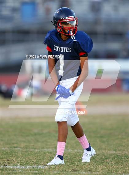 Thumbnail 3 in Williams Field @ Centennial  photogallery.