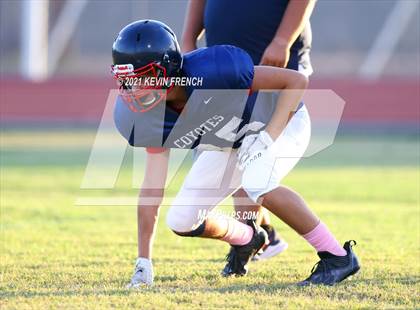 Thumbnail 3 in Williams Field @ Centennial  photogallery.