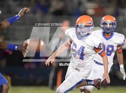 Thumbnail 1 in Osceola @ Dixie Hollins photogallery.
