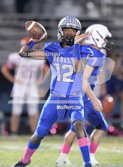 Thumbnail 1 in Osceola @ Dixie Hollins photogallery.