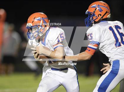 Thumbnail 3 in Osceola @ Dixie Hollins photogallery.