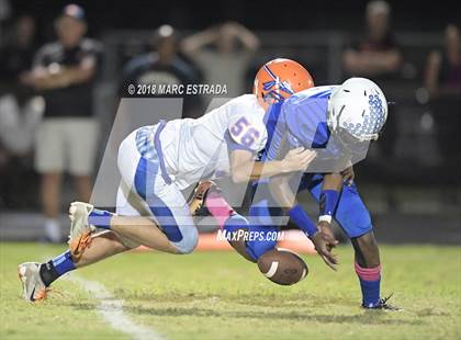 Thumbnail 1 in Osceola @ Dixie Hollins photogallery.