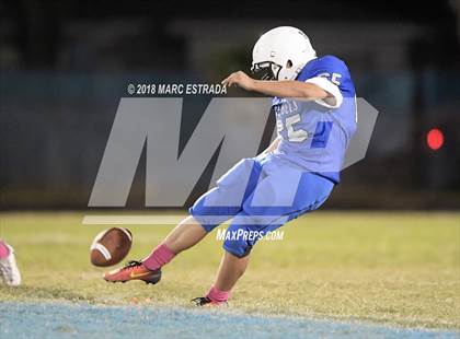 Thumbnail 1 in Osceola @ Dixie Hollins photogallery.