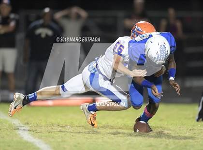 Thumbnail 2 in Osceola @ Dixie Hollins photogallery.
