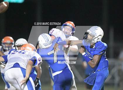 Thumbnail 2 in Osceola @ Dixie Hollins photogallery.