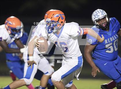 Thumbnail 1 in Osceola @ Dixie Hollins photogallery.
