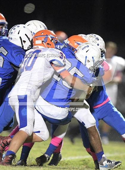 Thumbnail 1 in Osceola @ Dixie Hollins photogallery.