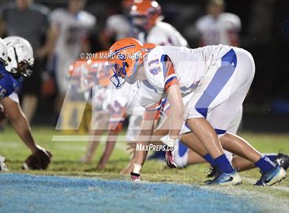 Thumbnail 3 in Osceola @ Dixie Hollins photogallery.