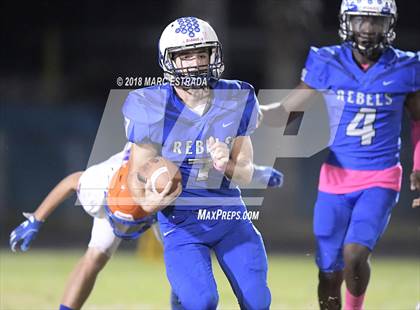 Thumbnail 2 in Osceola @ Dixie Hollins photogallery.