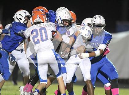 Thumbnail 2 in Osceola @ Dixie Hollins photogallery.