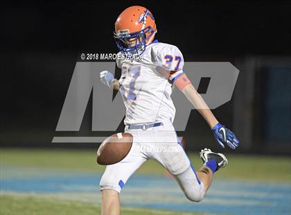 Thumbnail 1 in Osceola @ Dixie Hollins photogallery.