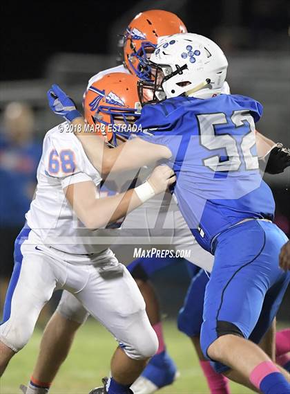 Thumbnail 3 in Osceola @ Dixie Hollins photogallery.
