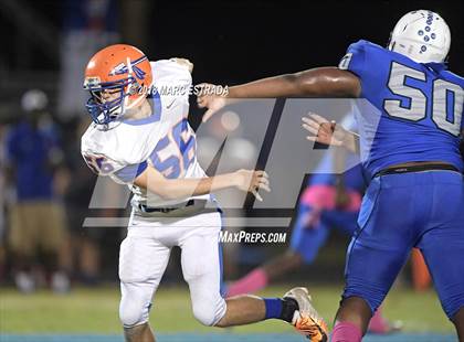 Thumbnail 1 in Osceola @ Dixie Hollins photogallery.