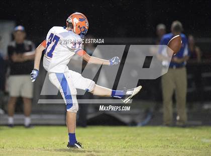 Thumbnail 2 in Osceola @ Dixie Hollins photogallery.
