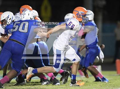 Thumbnail 3 in Osceola @ Dixie Hollins photogallery.