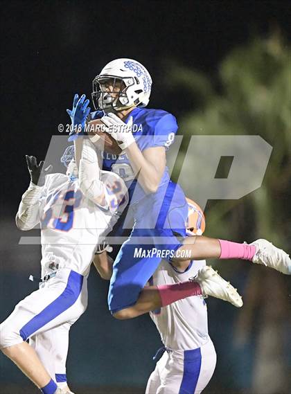 Thumbnail 2 in Osceola @ Dixie Hollins photogallery.