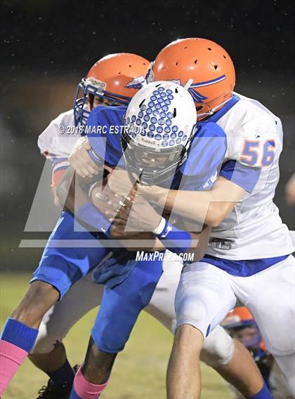 Thumbnail 2 in Osceola @ Dixie Hollins photogallery.