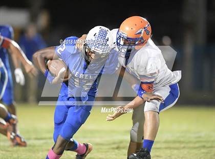 Thumbnail 1 in Osceola @ Dixie Hollins photogallery.