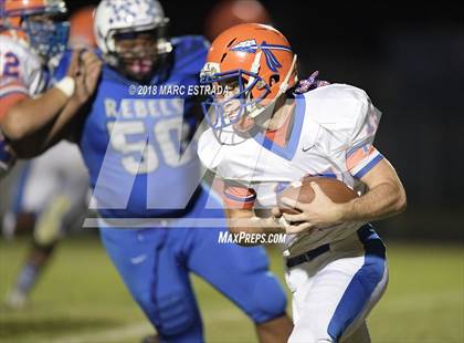 Thumbnail 1 in Osceola @ Dixie Hollins photogallery.