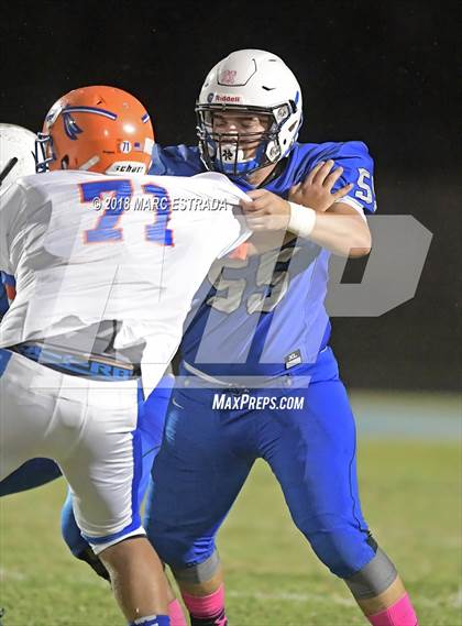 Thumbnail 3 in Osceola @ Dixie Hollins photogallery.