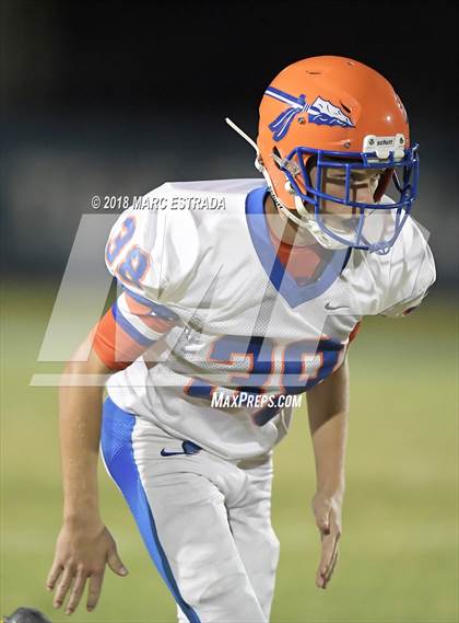 Thumbnail 2 in Osceola @ Dixie Hollins photogallery.
