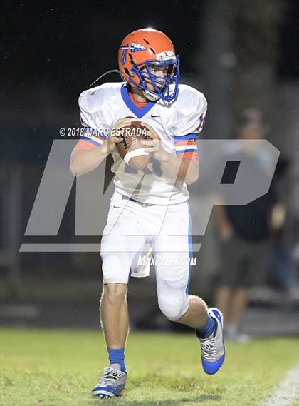 Thumbnail 1 in Osceola @ Dixie Hollins photogallery.