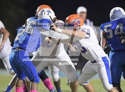 Thumbnail 3 in Osceola @ Dixie Hollins photogallery.
