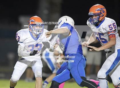 Thumbnail 2 in Osceola @ Dixie Hollins photogallery.