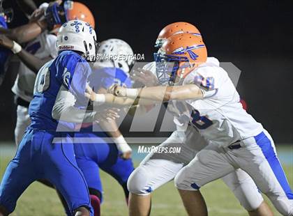Thumbnail 1 in Osceola @ Dixie Hollins photogallery.