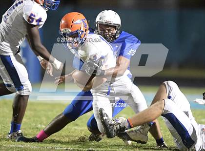 Thumbnail 1 in Osceola @ Dixie Hollins photogallery.