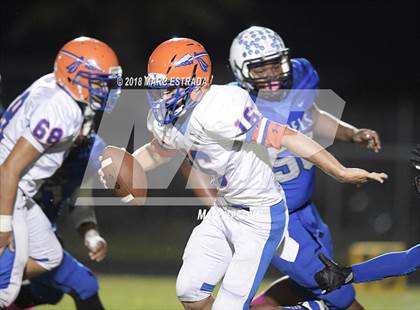 Thumbnail 3 in Osceola @ Dixie Hollins photogallery.