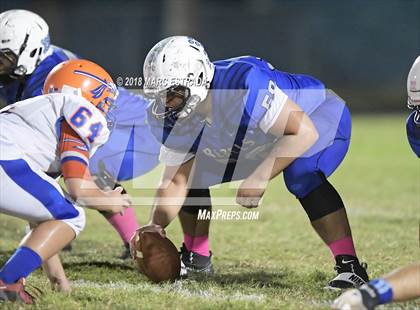 Thumbnail 1 in Osceola @ Dixie Hollins photogallery.