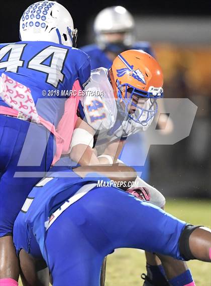 Thumbnail 3 in Osceola @ Dixie Hollins photogallery.