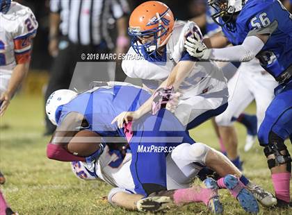Thumbnail 1 in Osceola @ Dixie Hollins photogallery.