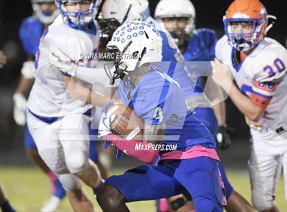 Thumbnail 3 in Osceola @ Dixie Hollins photogallery.