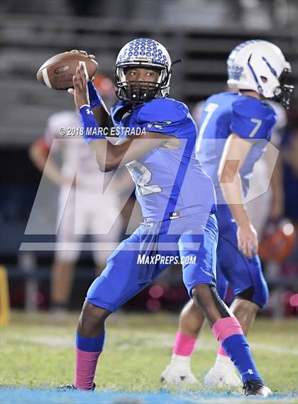 Thumbnail 3 in Osceola @ Dixie Hollins photogallery.