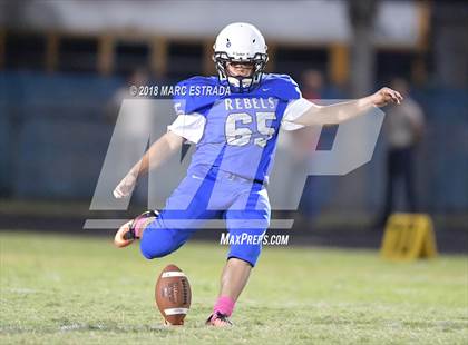 Thumbnail 1 in Osceola @ Dixie Hollins photogallery.