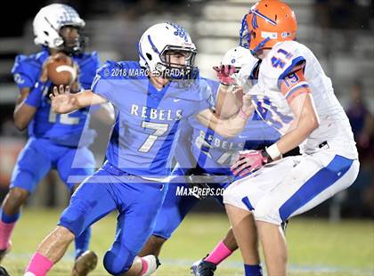 Thumbnail 1 in Osceola @ Dixie Hollins photogallery.