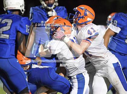 Thumbnail 3 in Osceola @ Dixie Hollins photogallery.