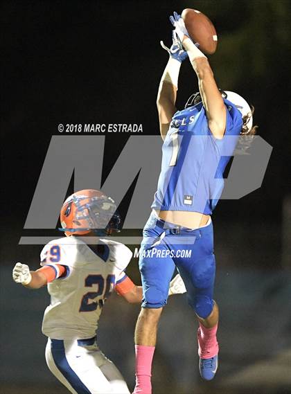 Thumbnail 3 in Osceola @ Dixie Hollins photogallery.