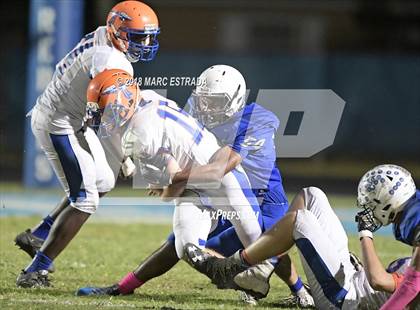 Thumbnail 2 in Osceola @ Dixie Hollins photogallery.