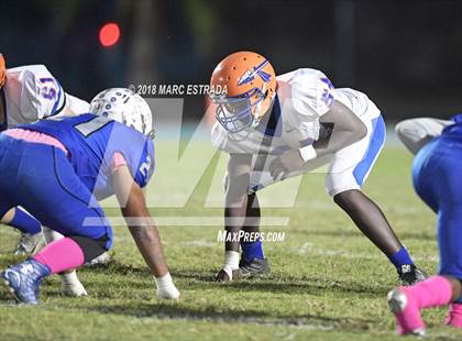 Thumbnail 2 in Osceola @ Dixie Hollins photogallery.