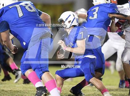 Thumbnail 3 in Osceola @ Dixie Hollins photogallery.