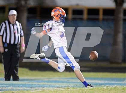 Thumbnail 3 in Osceola @ Dixie Hollins photogallery.